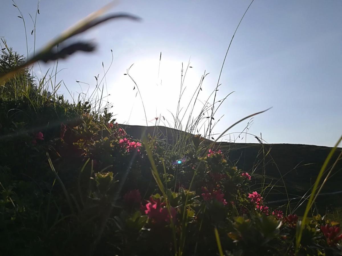 Herbst Wohnerlebnis Lofer Buitenkant foto