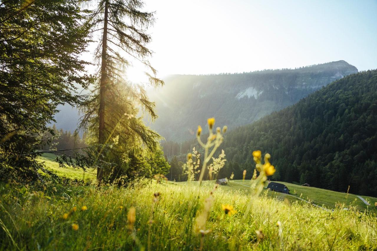 Herbst Wohnerlebnis Lofer Buitenkant foto